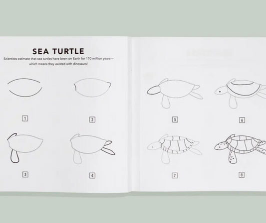Interior spread showing eight numbered steps for drawing a sea turtle