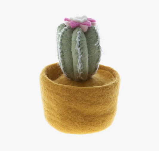 Felt Cactus Pot