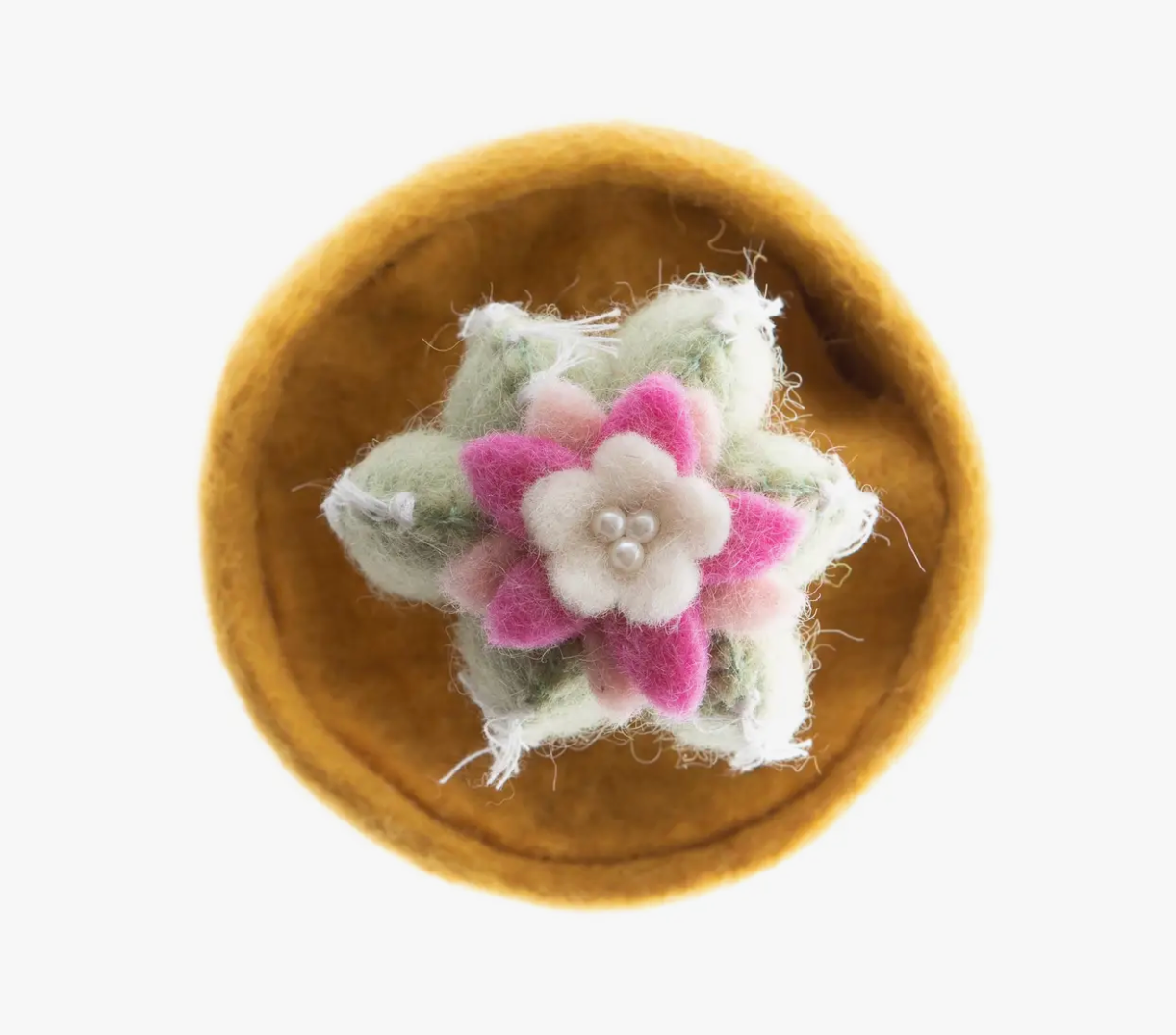 Felt Cactus Pot